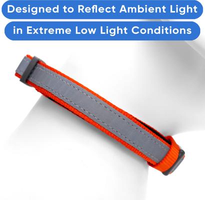 Show full view: Pawtitas Personalized Reflective Dog Collar, Orange, Large: 15 to 25-in neck, 1-in wide slide 6 of 11