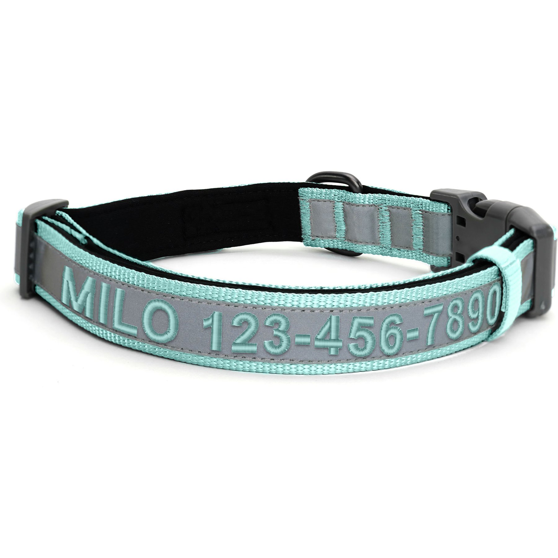 Pawtitas Personalized Reflective Dog Collar, Teal, Large: 15 to 25-in neck, 1-in wide