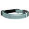 Show in main carousel: Pawtitas Personalized Reflective Dog Collar, Teal, Medium: 13 to 22-in neck, 3/4-in wide slide 1 of 10