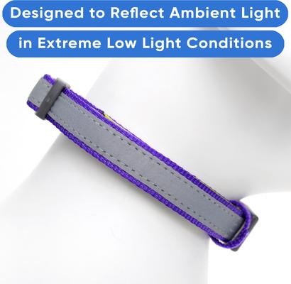Show full view: Pawtitas Personalized Reflective Dog Collar, Purple, Medium: 13 to 22-in neck, 3/4-in wide slide 5 of 10