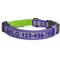 Show in main carousel: Pawtitas Personalized Reflective Dog Collar, Purple, Medium: 13 to 22-in neck, 3/4-in wide slide 1 of 10