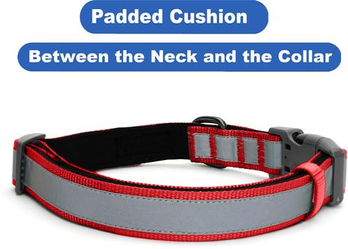 Show full view: Pawtitas Personalized Reflective Dog Collar, Red, Large: 15 to 25-in neck, 1-in wide slide 7 of 10