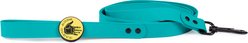 Body Glove Biothane Dog Leash, Teal, 6-ft long, 1-in wide