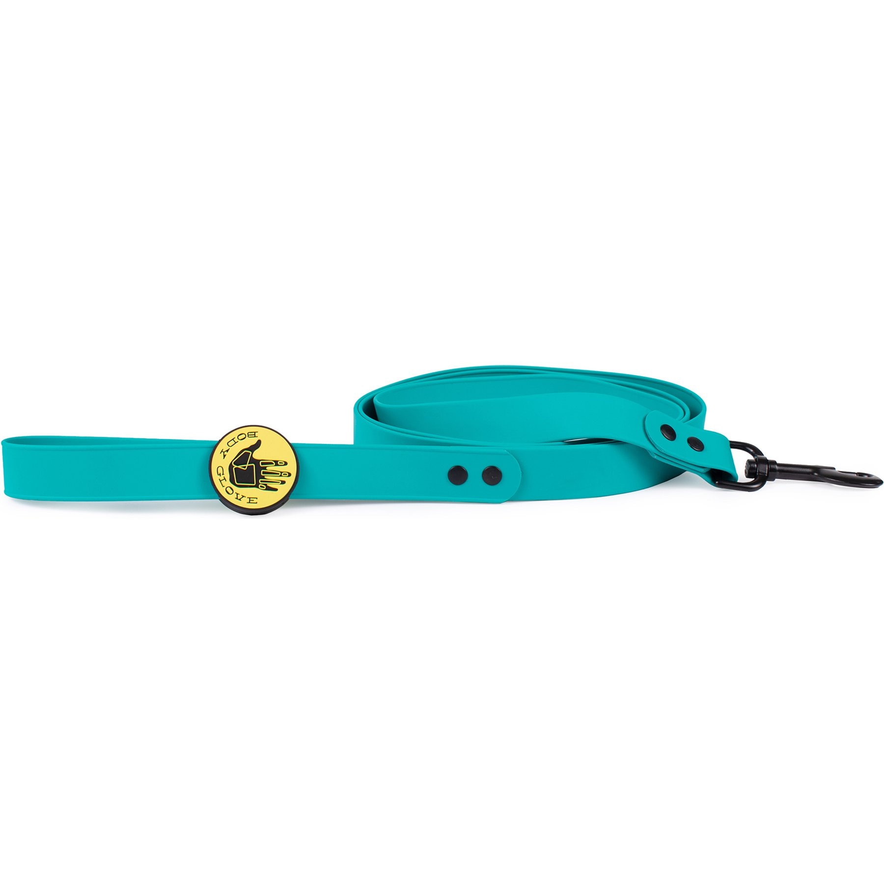 Body Glove Biothane Dog Leash, Teal, 6-ft long, 1-in wide