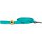 Show in main carousel: Body Glove Biothane Dog Leash, Teal, 6-ft long, 1-in wide slide 1 of 8