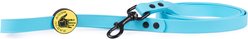 Body Glove Biothane Dog Leash, Sea Mist, 6-ft long, 3/4-in wide