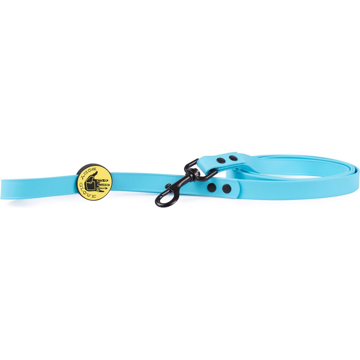 Body Glove Biothane Dog Leash, Sea Mist, 6-ft long, 3/4-in wide