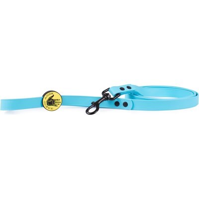 Body Glove Body Glove Biothane Dog Leash, Sea Mist, 6-ft long, 3/4-in wide