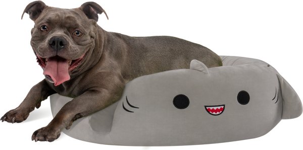 Squishmallows Gordon Shark Cat & Dog Bed