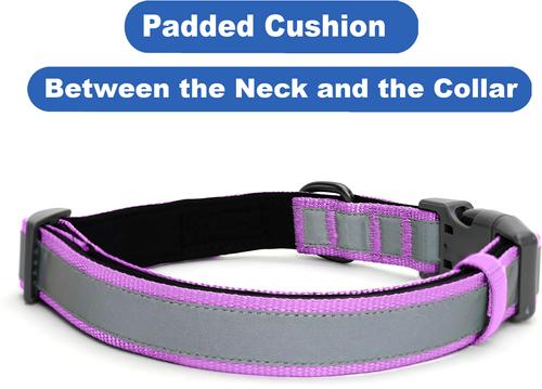 Show full view: Pawtitas Personalized Reflective Dog Collar, Orchid, Small: 11 to 16-in neck, 5/8-in wide slide 7 of 10