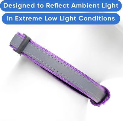 Show full view: Pawtitas Personalized Reflective Dog Collar, Orchid, Small: 11 to 16-in neck, 5/8-in wide slide 5 of 10