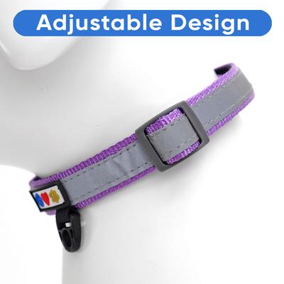 Show full view: Pawtitas Personalized Reflective Dog Collar, Orchid, Small: 11 to 16-in neck, 5/8-in wide slide 6 of 10