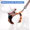 Show in main carousel: Pawtitas Personalized Reflective Dog Collar, Orange, Large: 15 to 25-in neck, 1-in wide slide 9 of 11