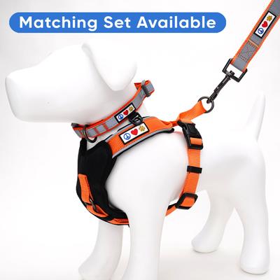 Show full view: Pawtitas Personalized Reflective Dog Collar, Orange, Large: 15 to 25-in neck, 1-in wide slide 9 of 11