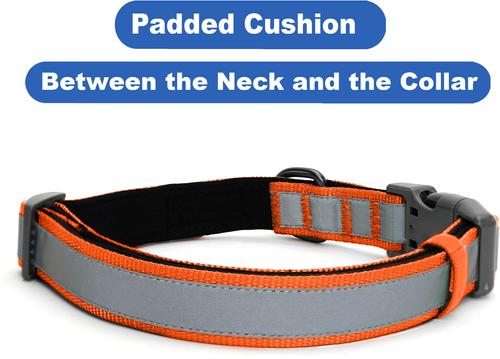 Show full view: Pawtitas Personalized Reflective Dog Collar, Orange, Large: 15 to 25-in neck, 1-in wide slide 8 of 11
