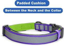 Pawtitas Personalized Reflective Dog Collar, Purple, Medium: 13 to 22-in neck, 3/4-in wide slide 2 of 9