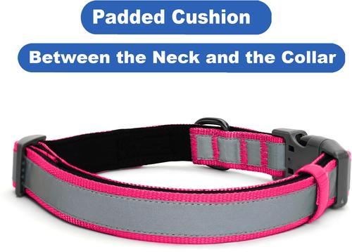 Show full view: Pawtitas Personalized Reflective Dog Collar, Pink, Large: 15 to 25-in neck, 1-in wide slide 8 of 11