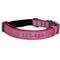 Show in main carousel: Pawtitas Personalized Reflective Dog Collar, Pink, Large: 15 to 25-in neck, 1-in wide slide 1 of 11
