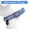 Show in main carousel: Pawtitas Personalized Reflective Dog Collar, Blue, Large: 15 to 25-in neck, 1-in wide slide 6 of 10