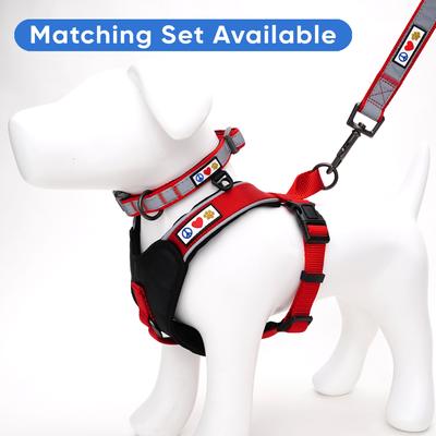 Show full view: Pawtitas Personalized Reflective Dog Collar, Red, Large: 15 to 25-in neck, 1-in wide slide 8 of 10