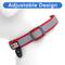 Show in main carousel: Pawtitas Personalized Reflective Dog Collar, Red, Large: 15 to 25-in neck, 1-in wide slide 6 of 10
