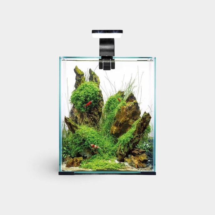 Nano Tanks