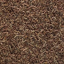 Freeze-Dried