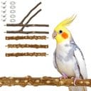 KNUTI 5 Piece Natural Wood Bird Perch, 8-in