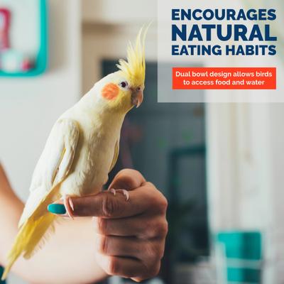 Show full view: KNUTI Bird Feeding Cups with Clamp, Sliver, 6.5-in slide 5 of 7