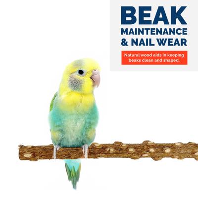 Show full view: KNUTI 5 Piece Natural Wood Bird Perch, 8-in slide 7 of 8