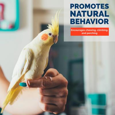 Show full view: KNUTI 5 Piece Natural Wood Bird Perch, 8-in slide 3 of 8