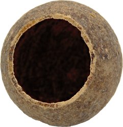 HydrOasis Wood Apple Pod Fish Plant, 1 count slide 2 of 5