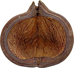 HydrOasis Thelambu Pod Fish Plant slide 2 of 4