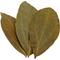 Show in main carousel: HydrOasis Cinnamon Leaves Fish Plant, 10 count slide 5 of 9