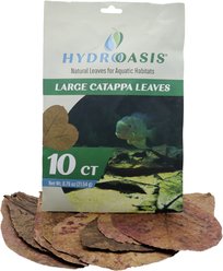 HydrOasis Catappa Leaves Large Fish Plant, 10 count