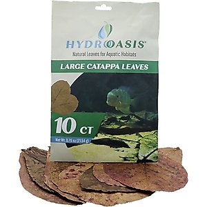 HydrOasis Catappa Leaves Large Fish Plant, 10 count