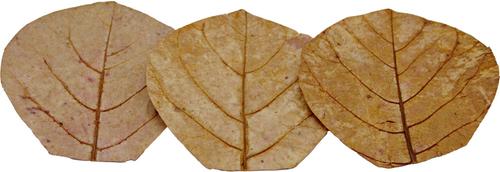 Show full view: HydrOasis Catappa Leaves Nano Fish Plant, 10 count slide 5 of 9