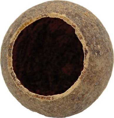 Show full view: HydrOasis Wood Apple Pod Fish Plant, 3 count slide 3 of 5