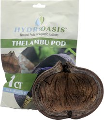 HydrOasis Thelambu Pod Fish Plant