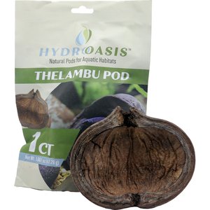 HydrOasis Thelambu Pod Fish Plant