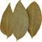 Show in main carousel: HydrOasis Cinnamon Leaves Fish Plant, 10 count slide 9 of 9