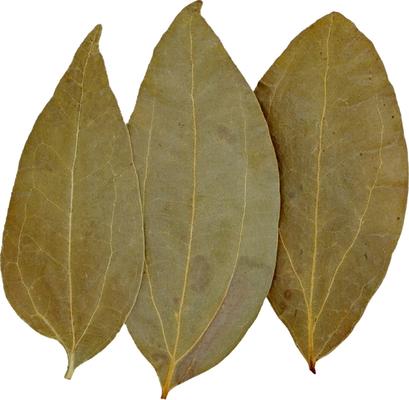 Show full view: HydrOasis Cinnamon Leaves Fish Plant, 10 count slide 9 of 9