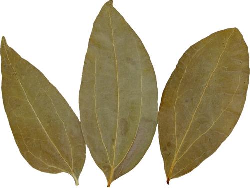 Show full view: HydrOasis Cinnamon Leaves Fish Plant, 10 count slide 8 of 9