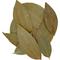 Show in main carousel: HydrOasis Cinnamon Leaves Fish Plant, 10 count slide 7 of 9