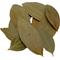 Show in main carousel: HydrOasis Cinnamon Leaves Fish Plant, 10 count slide 6 of 9