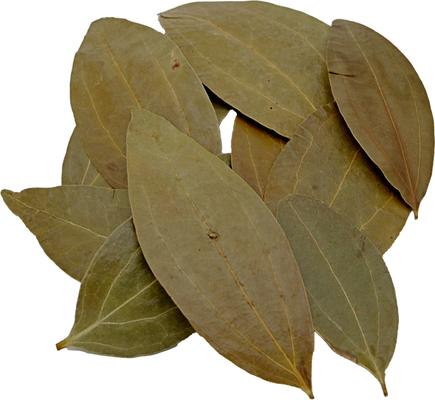 Show full view: HydrOasis Cinnamon Leaves Fish Plant, 10 count slide 6 of 9