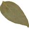 Show in main carousel: HydrOasis Cinnamon Leaves Fish Plant, 10 count slide 4 of 9