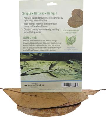 Show full view: HydrOasis Catappa Leaves Large Fish Plant, 3 count slide 2 of 8