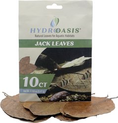 HydrOasis Jack Leaves Fish Plant, 10 count