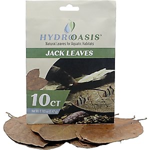 HydrOasis Jack Leaves Fish Plant, 10 count